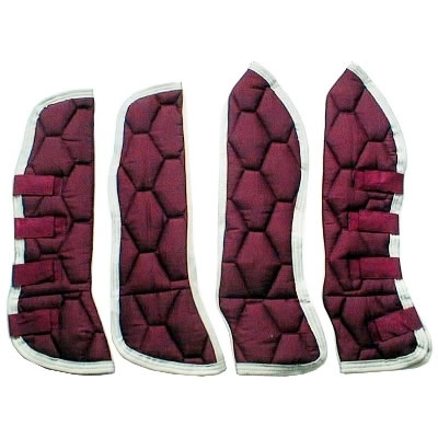 Protetor de Viagem Instep