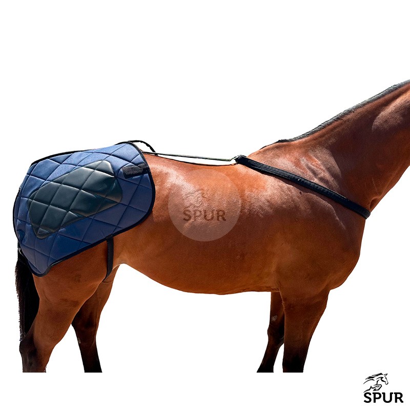 Rabeira Premium - SPUR